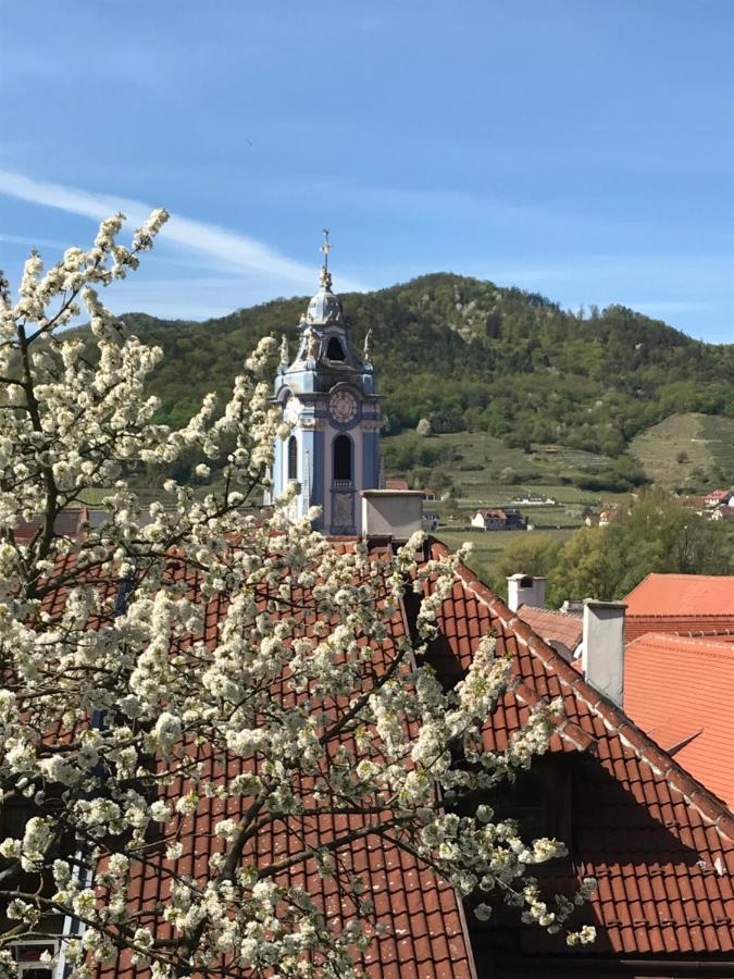 Pension Altes Rathaus 던스테인 외부 사진